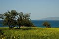 Chypre07 - 2007-03-11_16-17-57